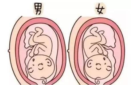 广州试管婴儿知识：取卵后的荷尔蒙变化有哪些