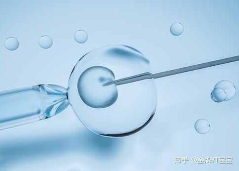 子宫内膜如何影响广州试管婴儿的胚胎植入