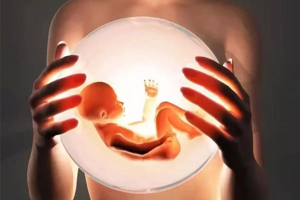 哈萨克斯坦的试管婴儿：卵泡必须满足哪些要求才能为良好的怀孕打下基础？