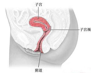 广州正规助孕产子机构-子宫肌瘤的微创手术会不会很痛？