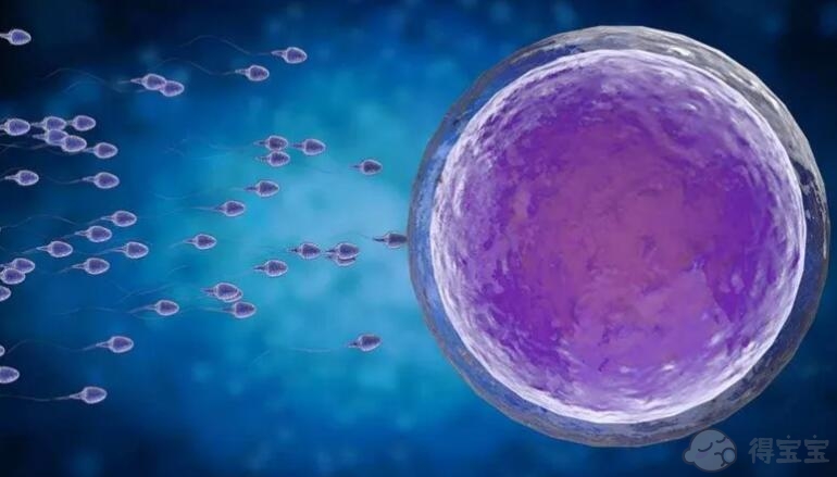 广州医科大学附属第三医院的人工授精怎么样，那里有2022个卵子，可以提高怀孕的成功率？