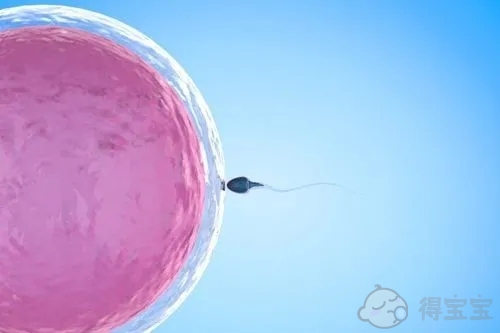 胚胎冷冻的优点是什么，缺点是什么？